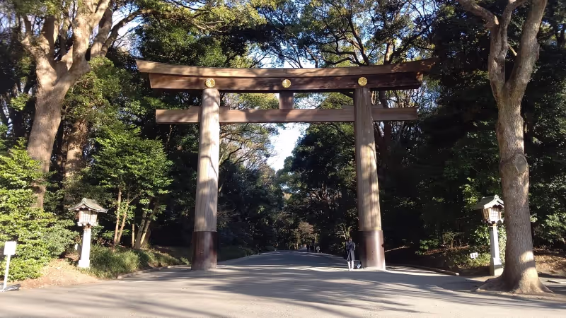 Tokyo Private Tour - null