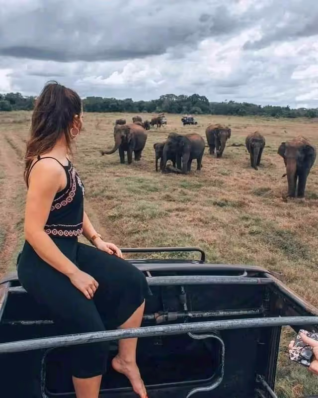 Colombo Private Tour - National Park Jeep Safari