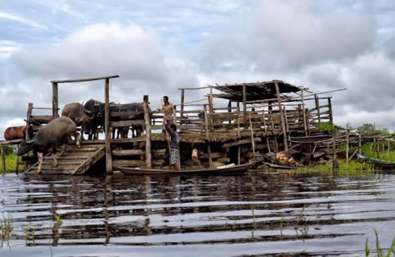 South Kalimantan Private Tour - In the cage 