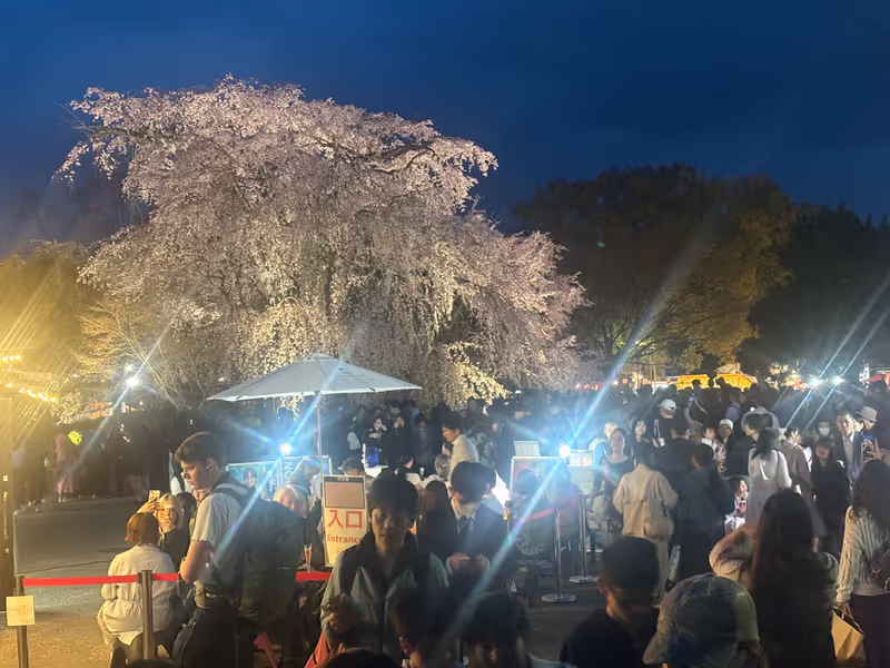Kyoto Private Tour - 
