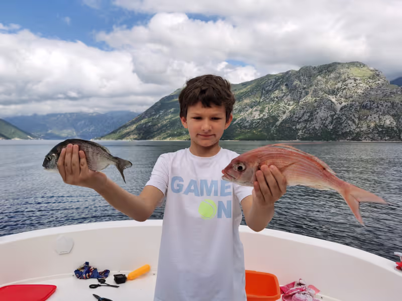 Kotor Private Tour - null