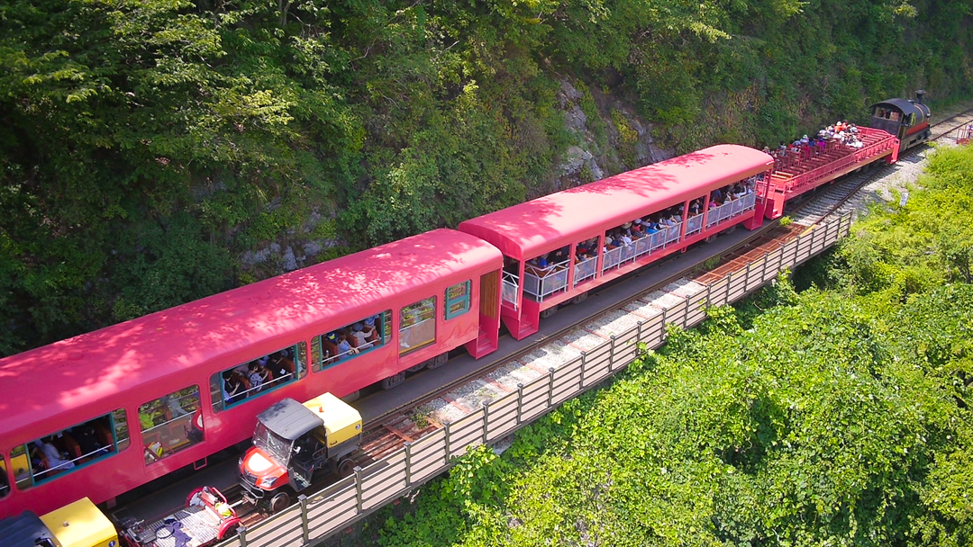 Nami Island · Gangchon Rail Bike · Alpaca World Private Tour_#