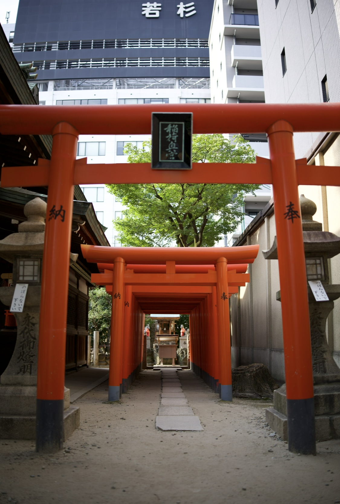 The Hidden Gem of Osaka: Nakazaki-cho & Tenjinbashisuji Shopping